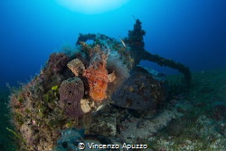 This little engine wreck from world war 2 sits by its sel... by Vincenzo Apuzzo 